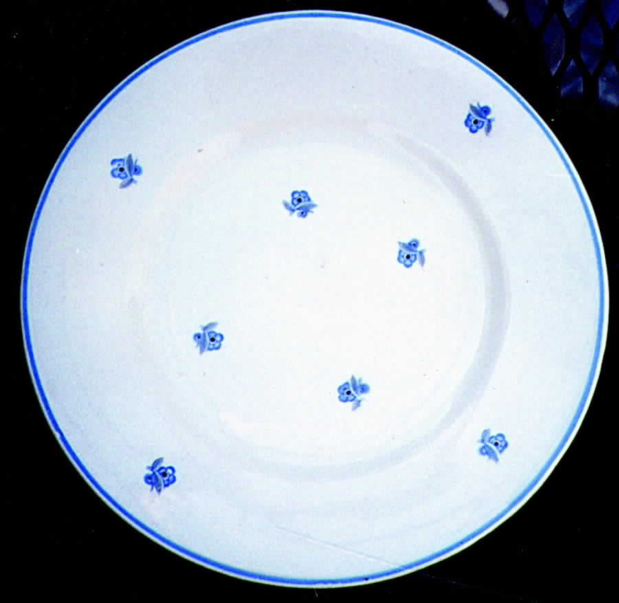 CZE44 Dinner Plate by Czechia-Czechoslovakia-1