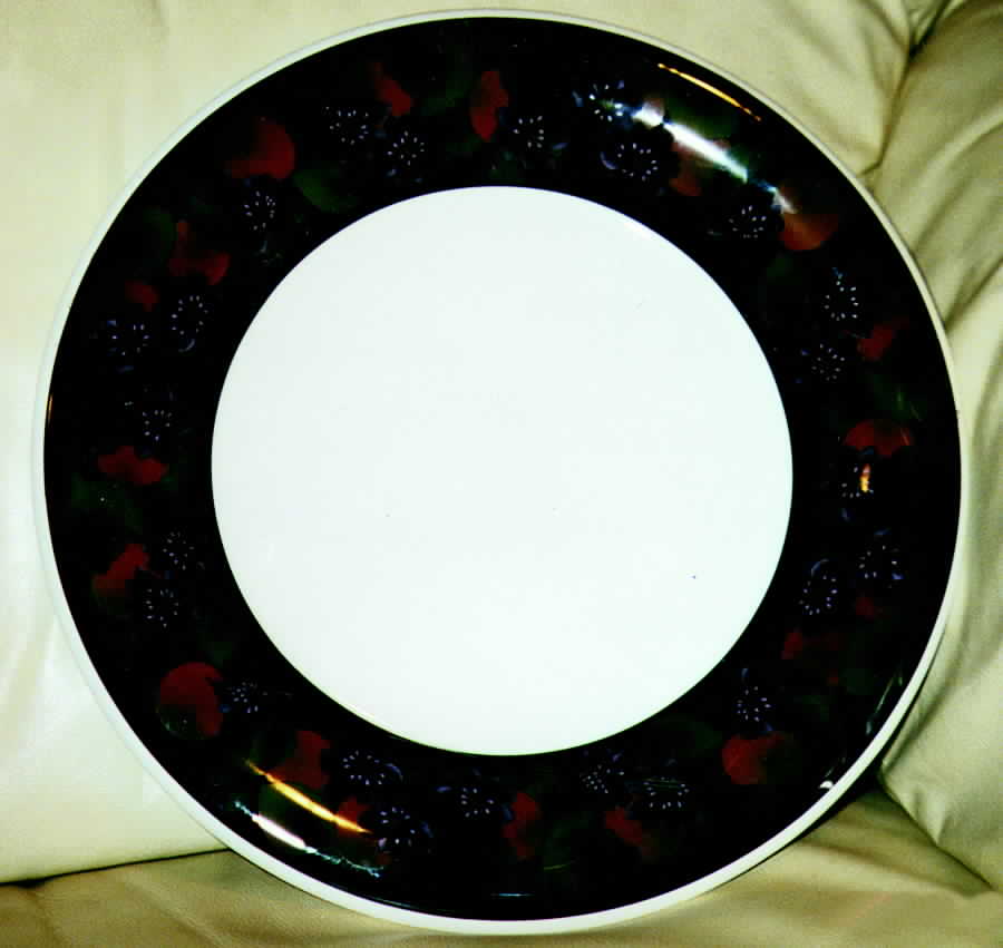 CMI7 Dinner Plate by Ceramica (Italy)-1