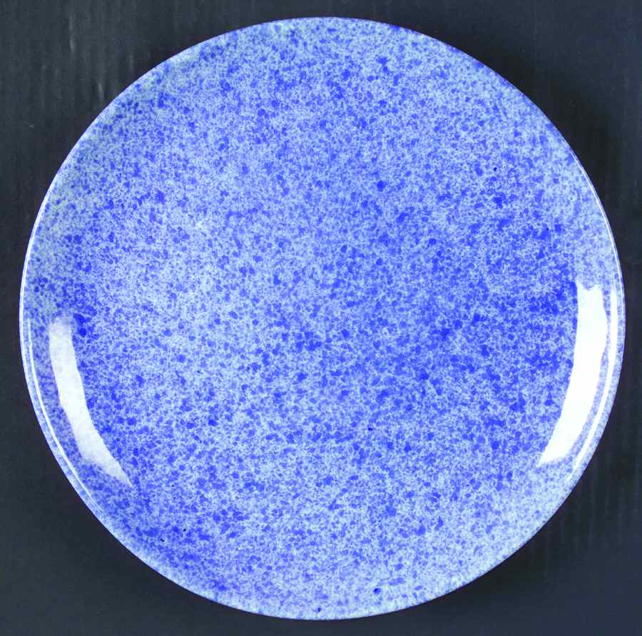 CWP1 Dinner Plate by Coche Stoneware-1