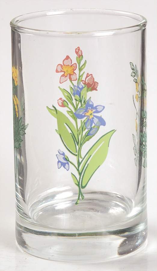 My Garden (Corelle) 6 Oz Glassware Juice by Corning Corelle-1