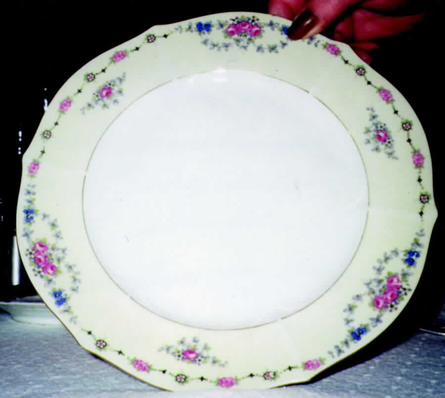 CZE59 Dinner Plate by Czechia-Czechoslovakia-1