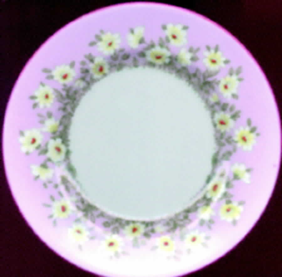 13719 Dinner Plate by Crown Staffordshire-1