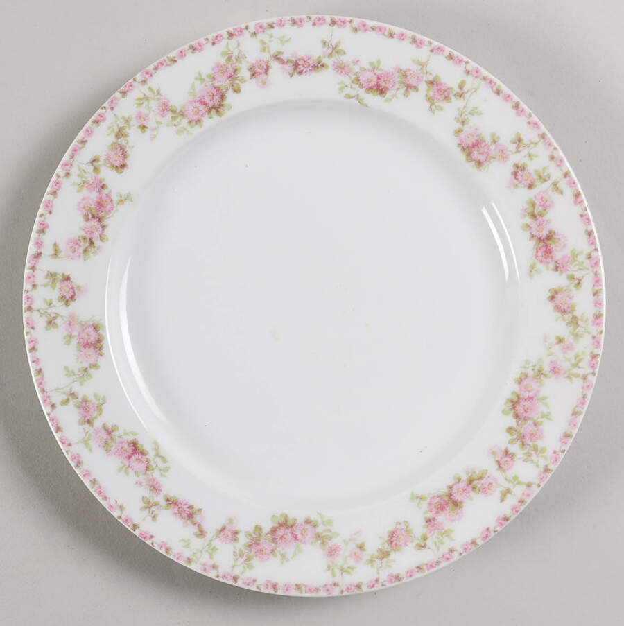 Schleiger 195k Luncheon Plate by Charles Field Haviland-1