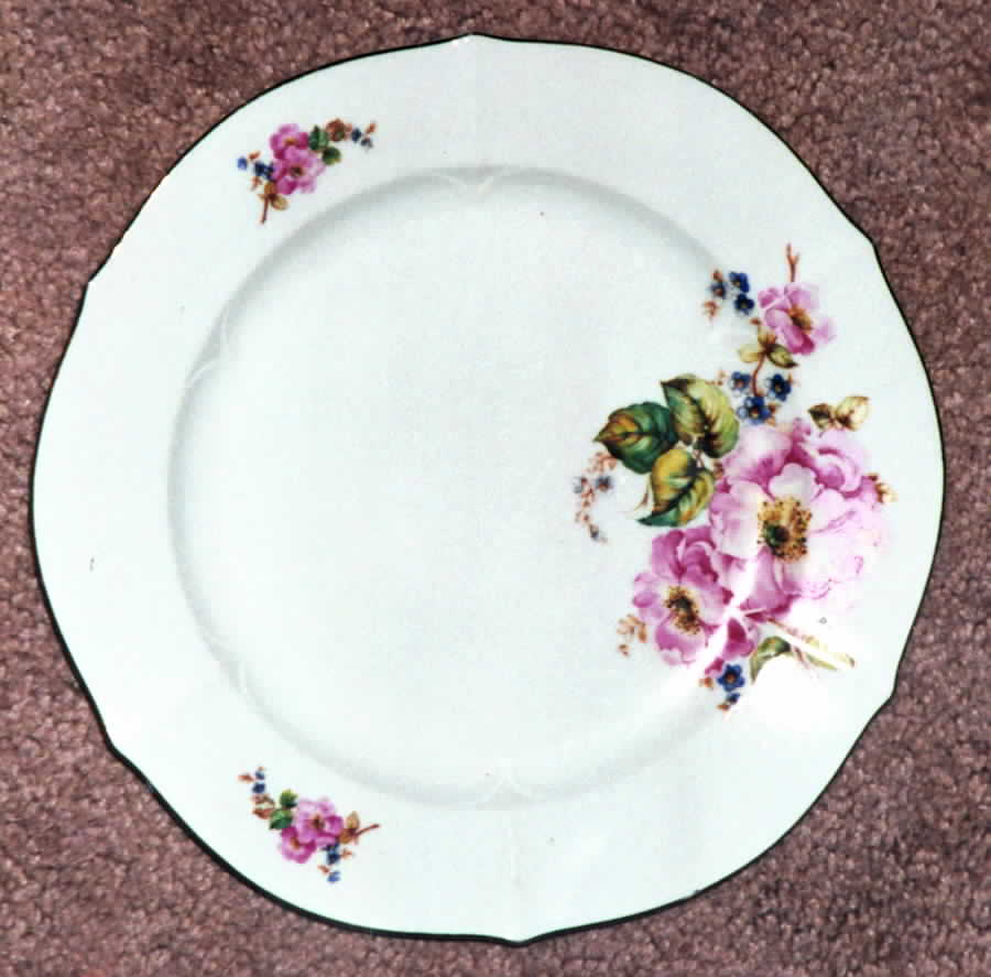 CZE84 Dinner Plate by Czechia-Czechoslovakia-1