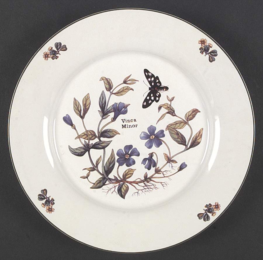 Flora Dinner Plate by Cuthbertson-1