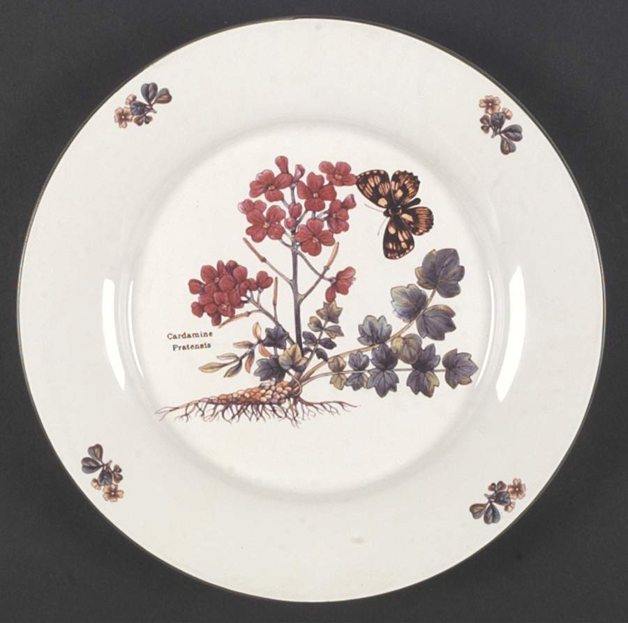 Flora Dinner Plate by Cuthbertson-1