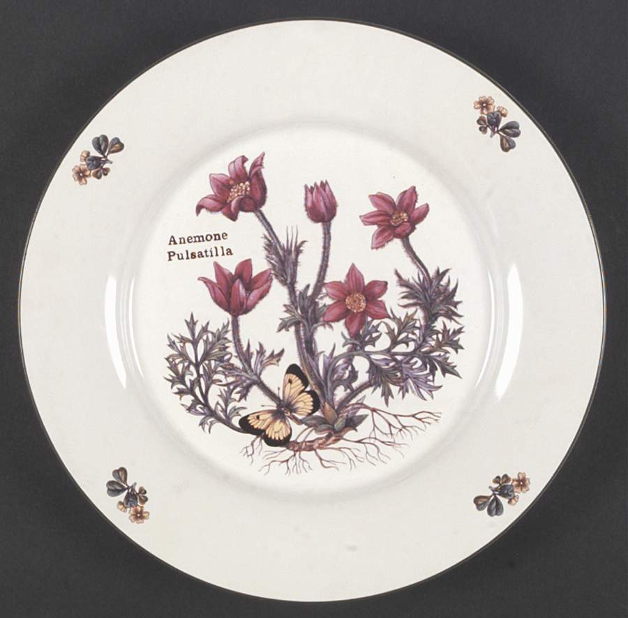Flora Dinner Plate by Cuthbertson-1