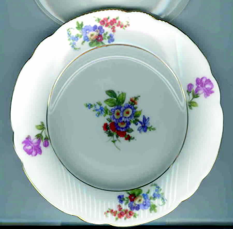 CZE88 Dinner Plate by Czechia-Czechoslovakia-1