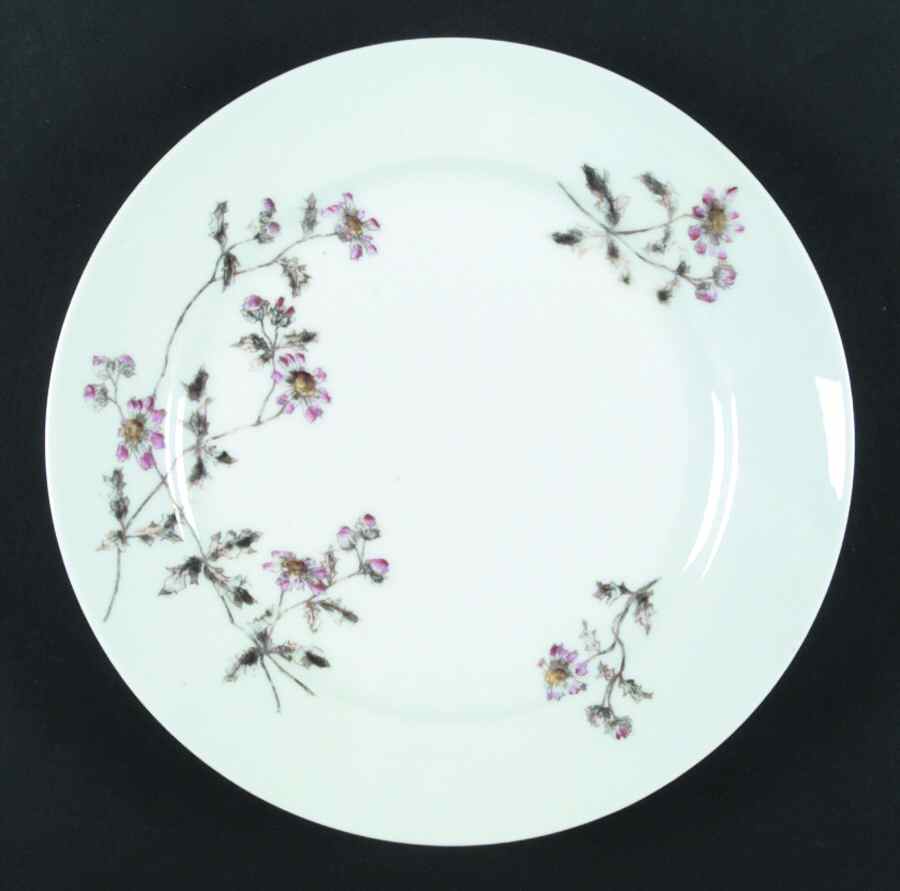 Schleiger 1311A Dinner Plate by Charles Field Haviland-1