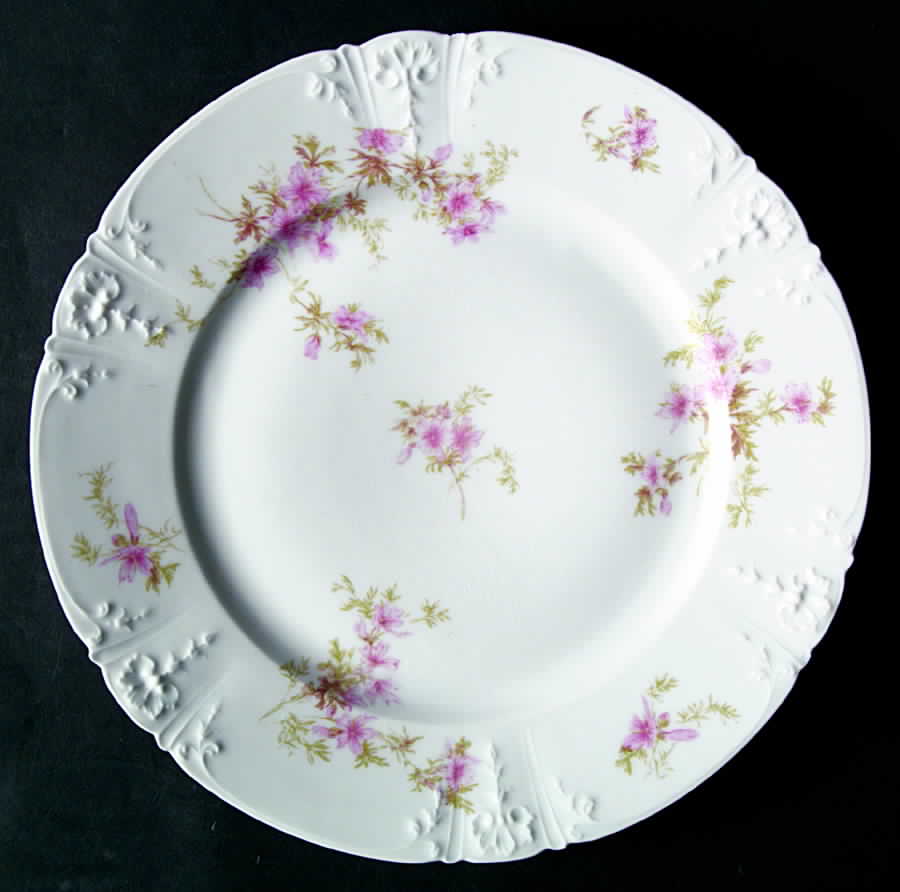 Schleiger 1293-9 Dinner Plate by Charles Field Haviland-1