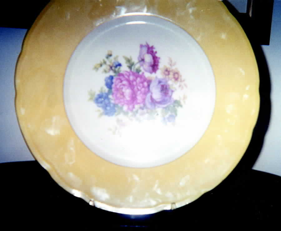 CZE93 Dinner Plate by Czechia-Czechoslovakia-1
