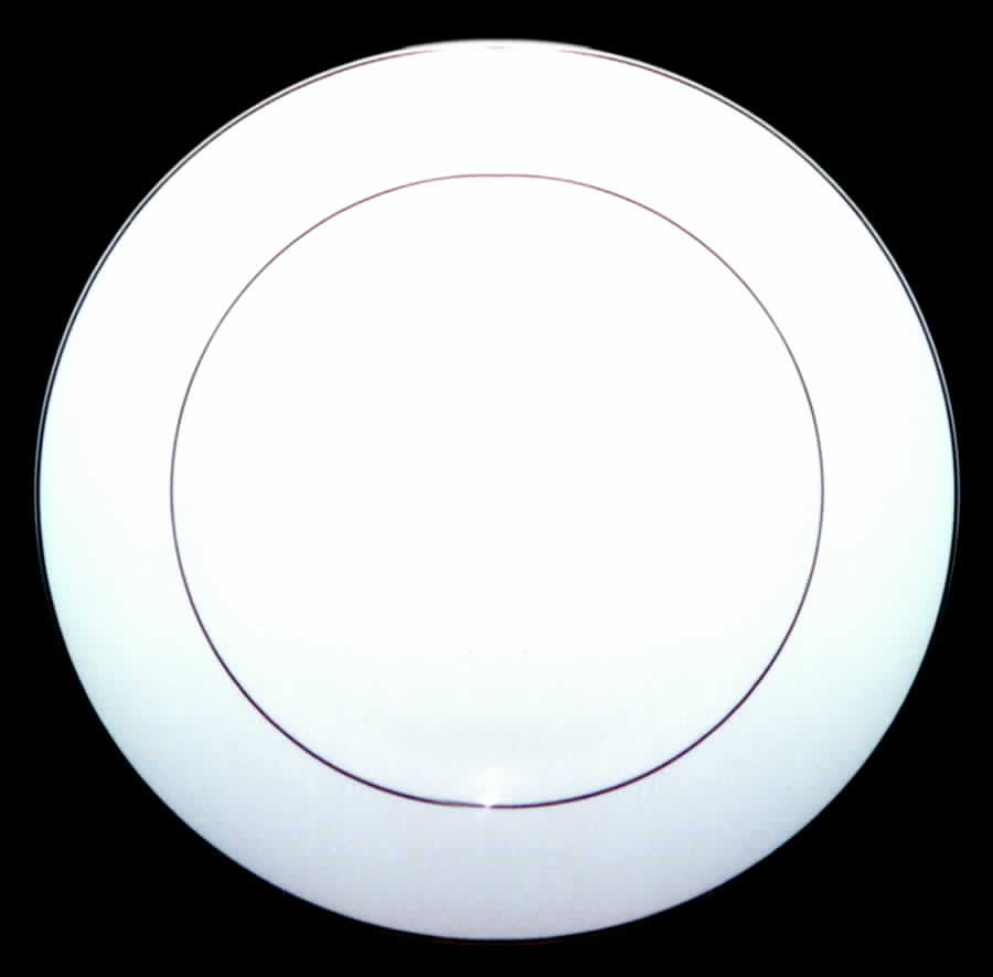 CLR9 Dinner Plate by The Cellar (China)-1