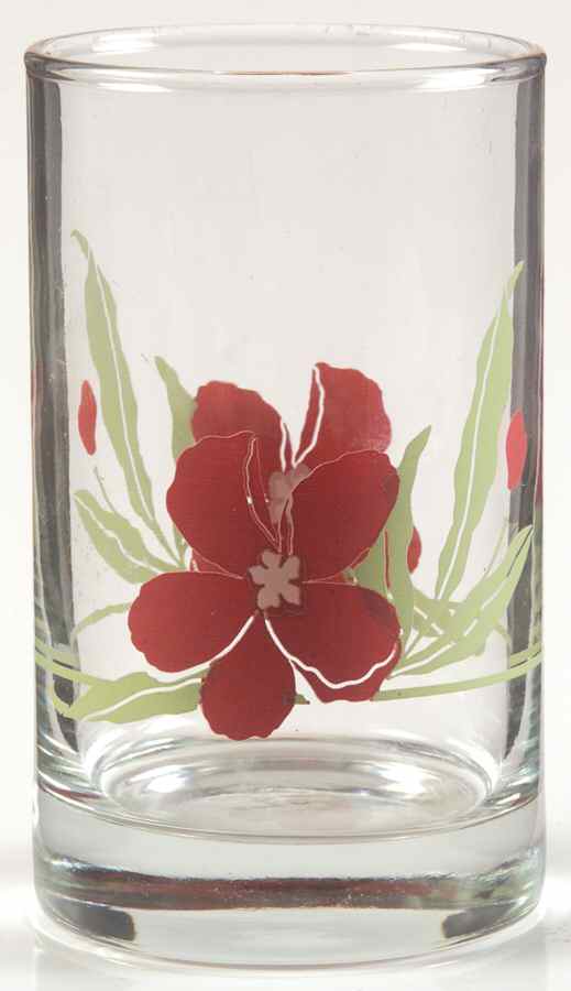 Pacific Bloom (Corelle) 6 Oz Glassware Juice by Corning Corelle-1