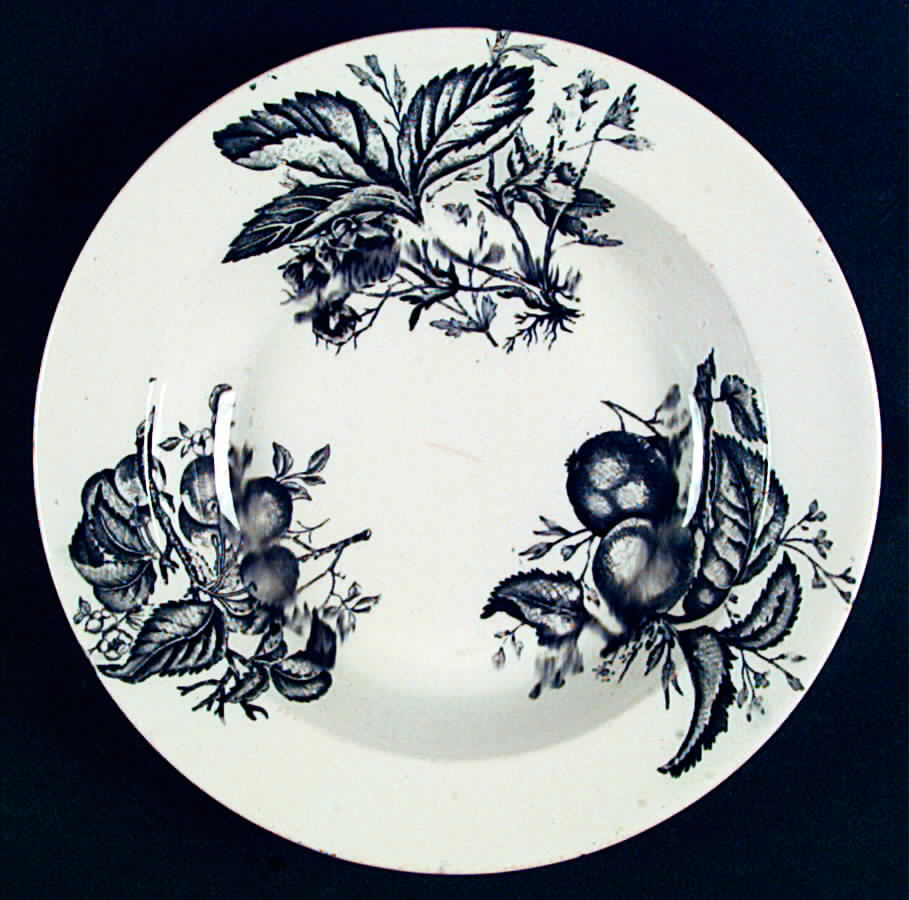 Fruitace Large Rim Soup Bowl by Clementson Bros-1