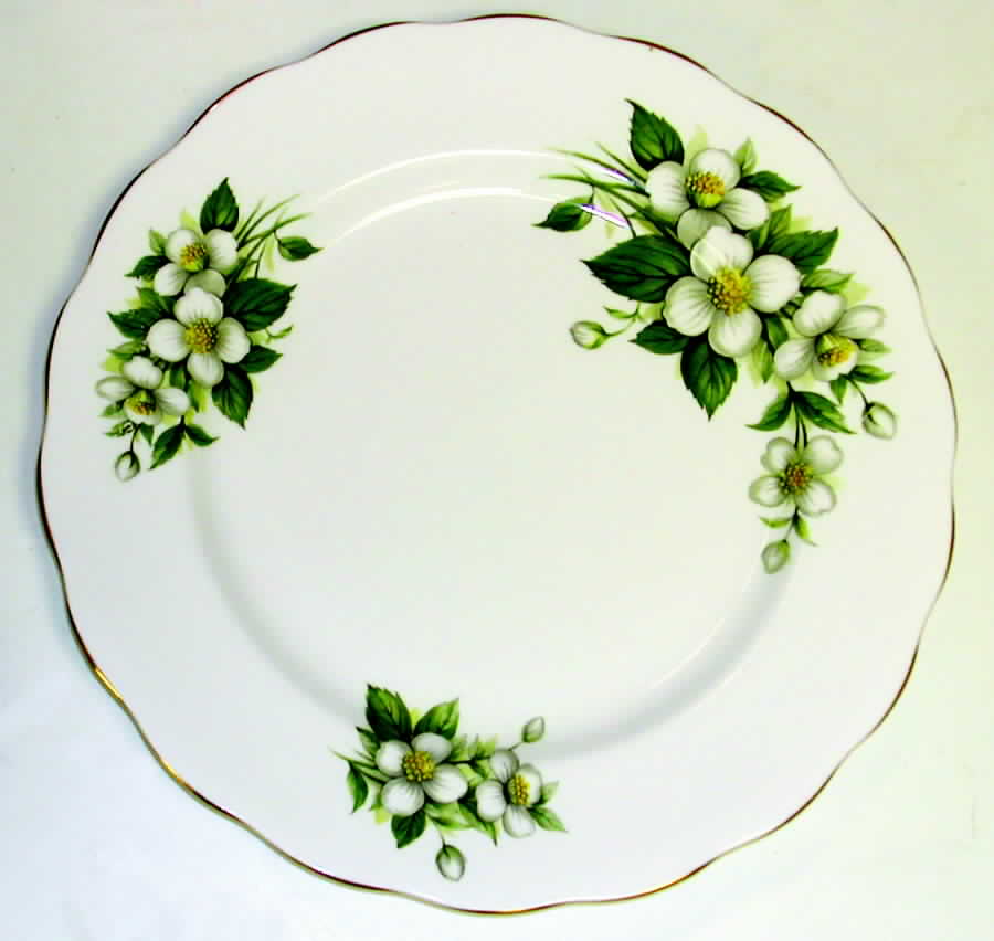 Orange Blossom Dinner Plate by Colclough-1