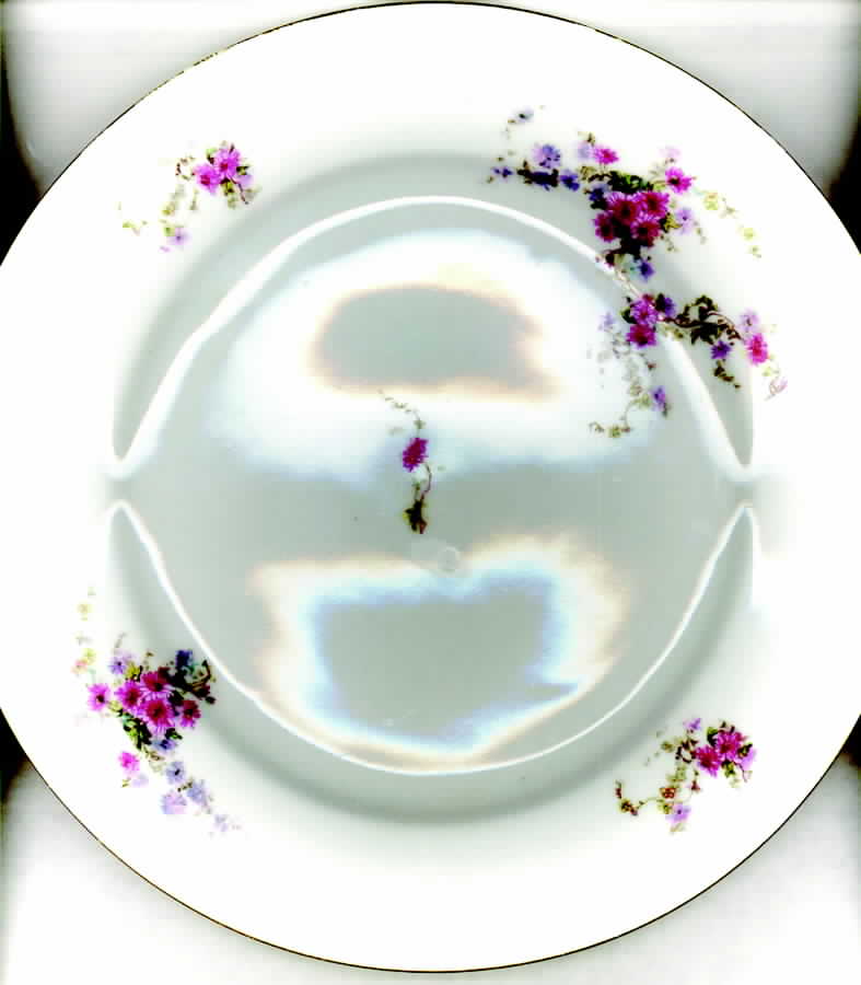 CZE114 Dinner Plate by Czechia-Czechoslovakia-1