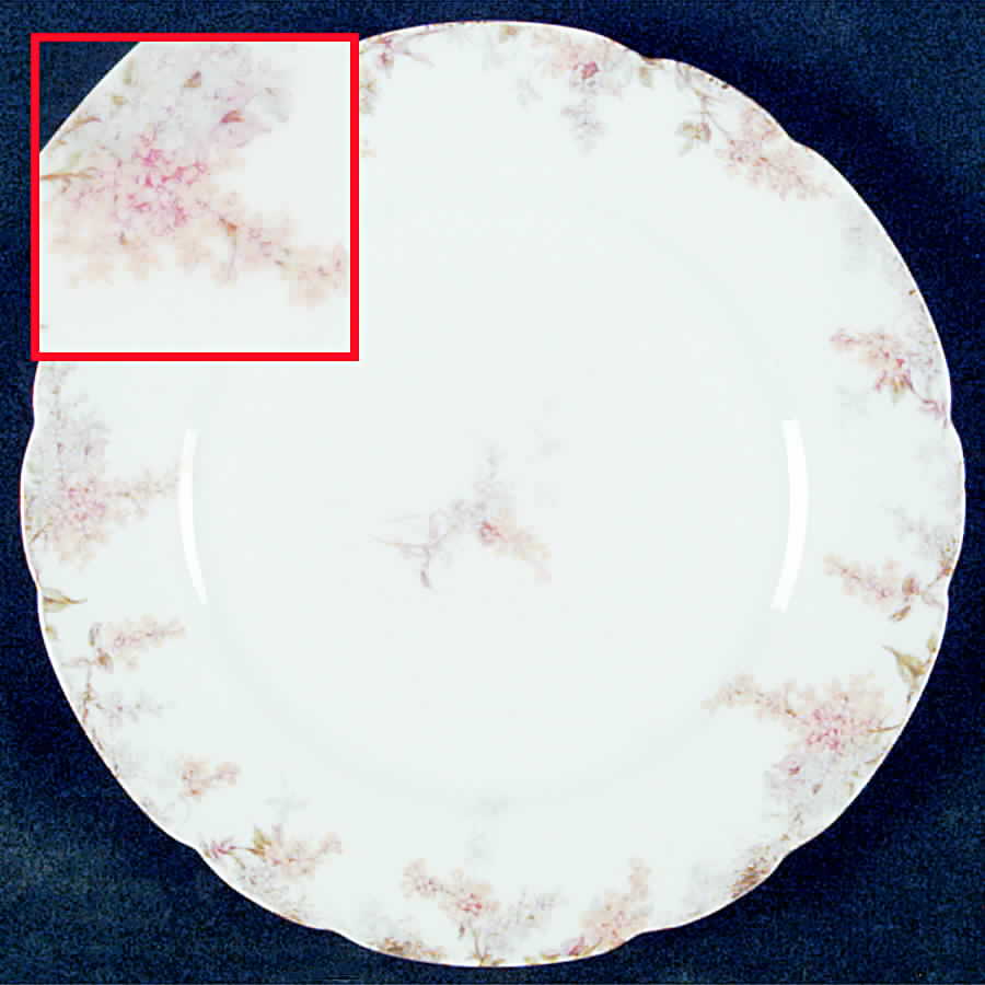 CHF777 Luncheon Plate by Charles Field Haviland-1