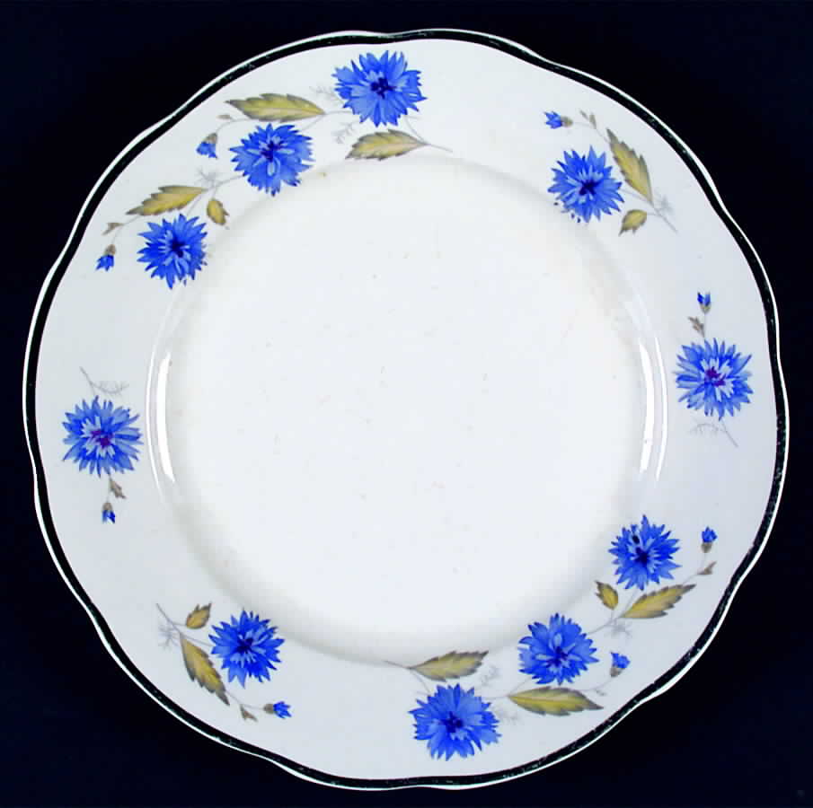Cornflower (Platinum Trim) Dinner Plate by Cmielow (Poland)-1