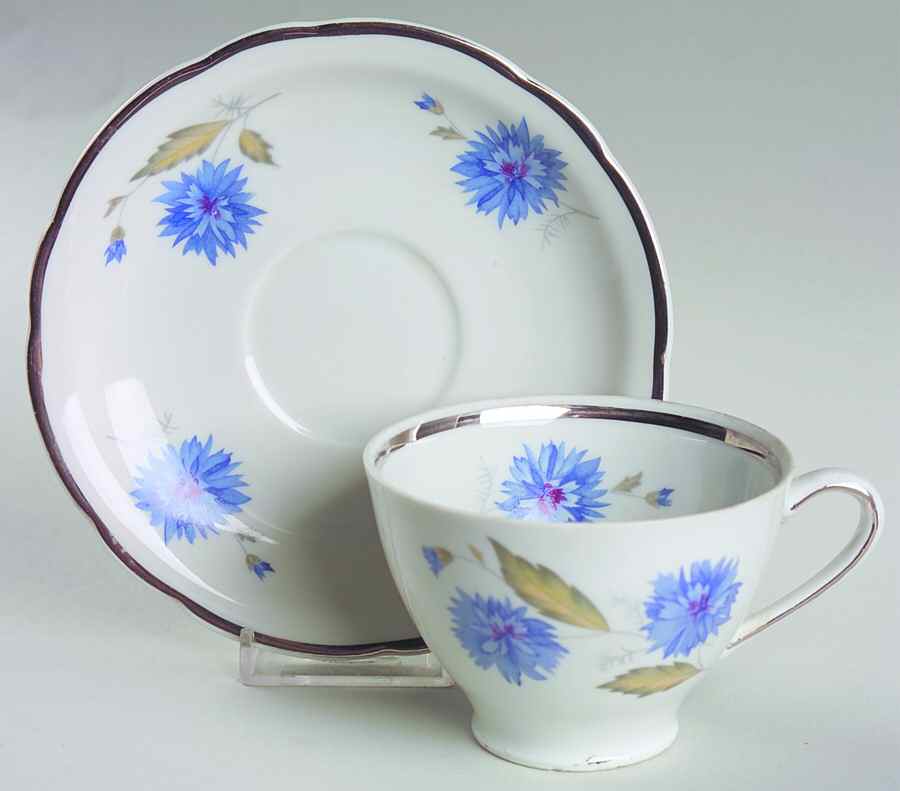 Cornflower (Platinum Trim) Footed Cup & Saucer Set by Cmielow (Poland)-1