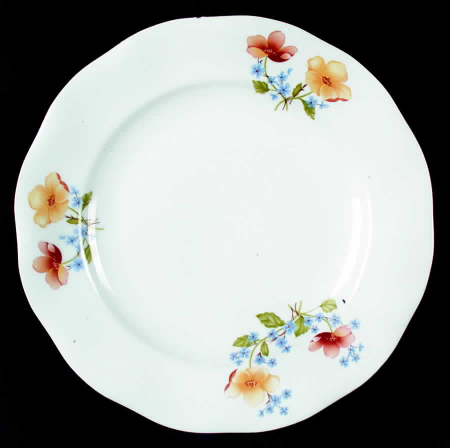 Cwm4 Dinner Plate by Crown Regent (Romania)-1