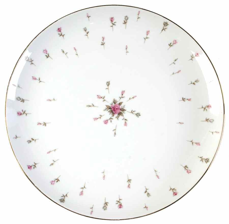 Lorelei Dinner Plate by Contour-1