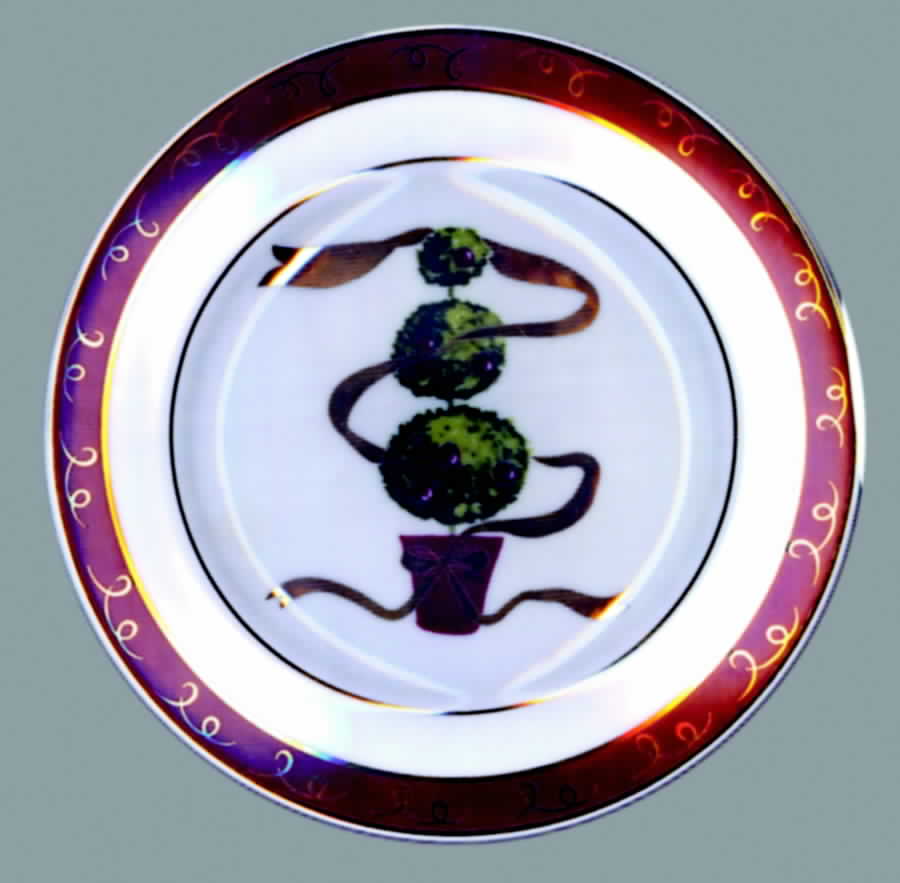 CLR24 Salad Plate by The Cellar (China)-1
