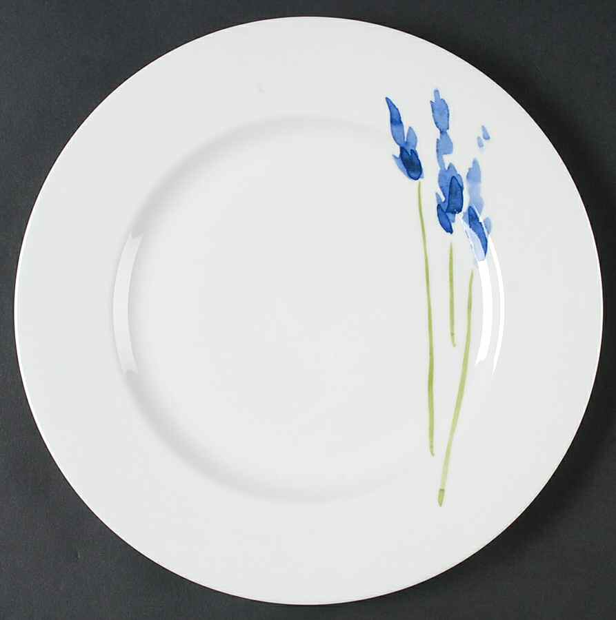 Anna's Artistry Dinner Plate by Crate & Barrel-1