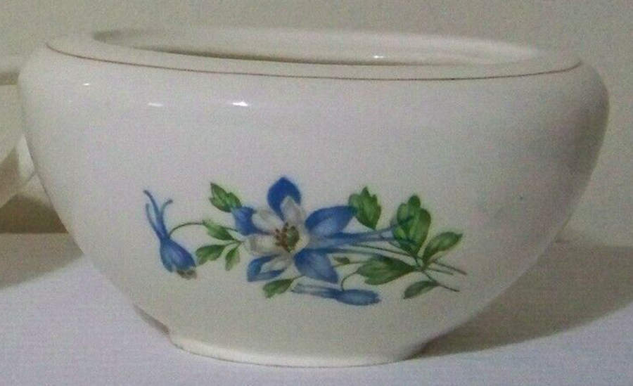 COLORADO COLUMBINE Sugar Bowl No Lid by Columbia's China-1