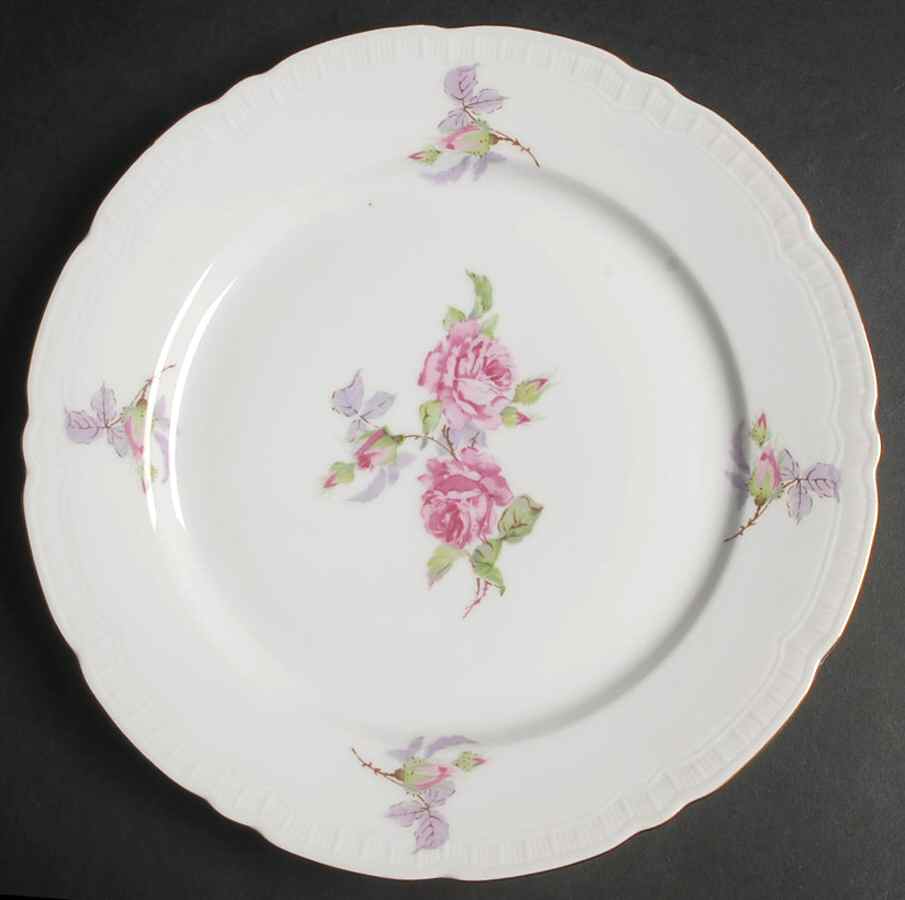 CZE189 Dinner Plate by Czechia-Czechoslovakia-1