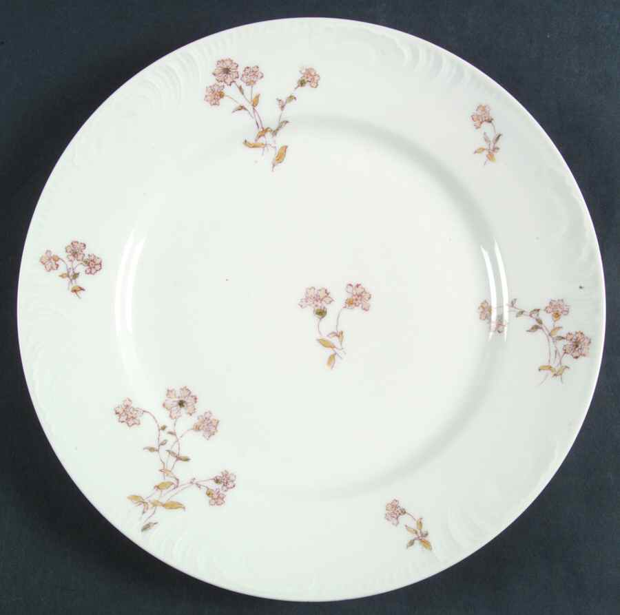 Schleiger 372-1 Dinner Plate by Charles Field Haviland-1