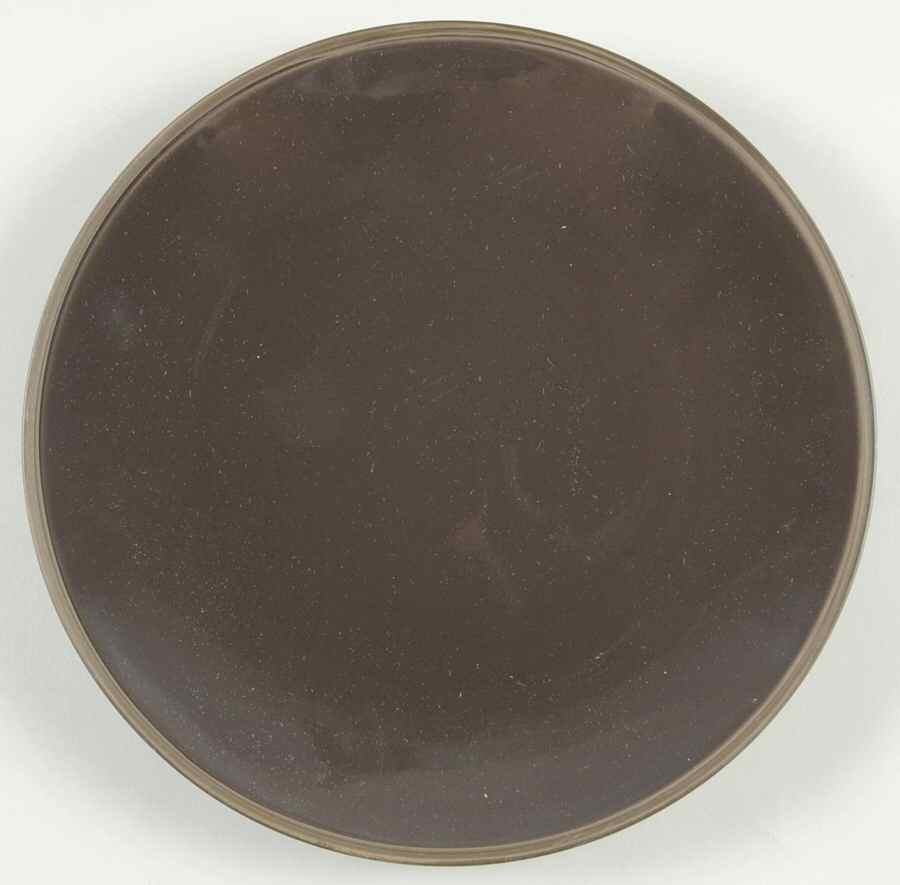 Tonal Edge Bronze Salad Plate by Calvin Klein-1