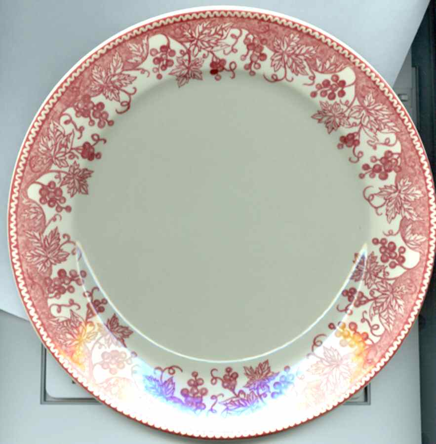 Vineyard Pink Dinner Plate by Claytan-1