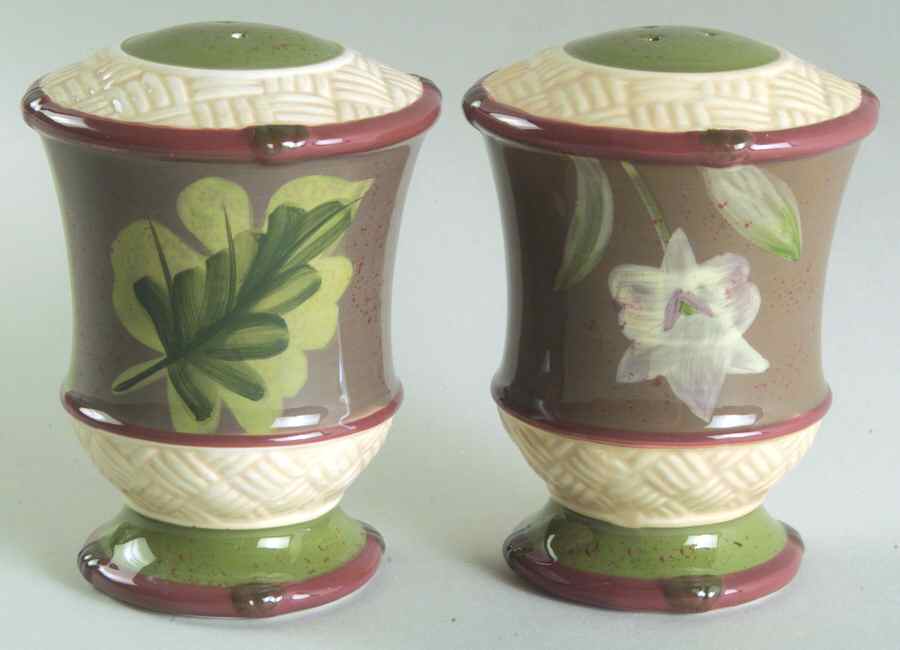 Rainforest Salt & Pepper Set by Certified International-1