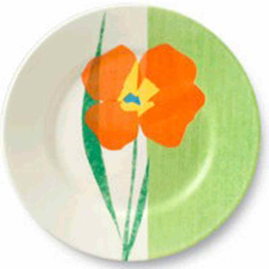 Fiore Green Dinner Plate by Corning Corelle-1