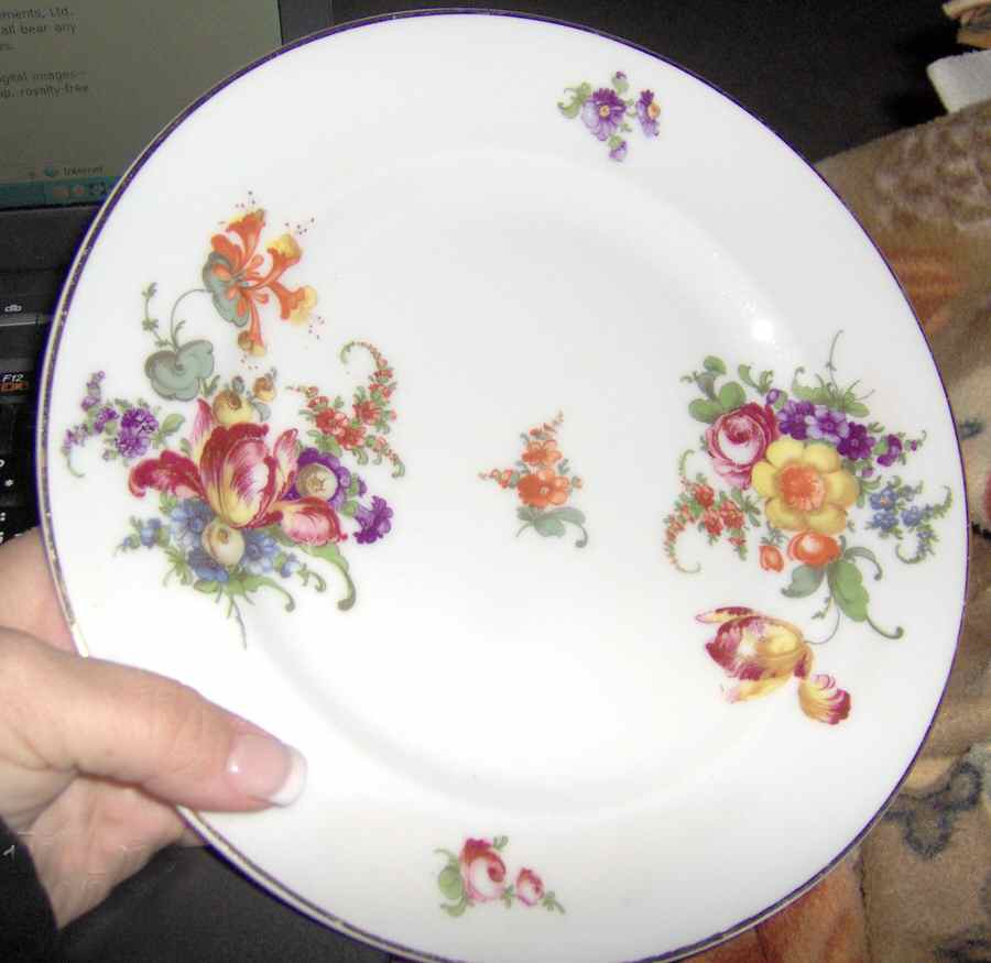 CZE214 Dinner Plate by Czechia-Czechoslovakia-1