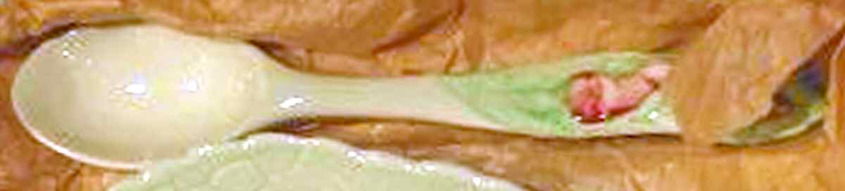 Fox Glove Jam/Preserve Spoon by Carlton Ware (England)-1
