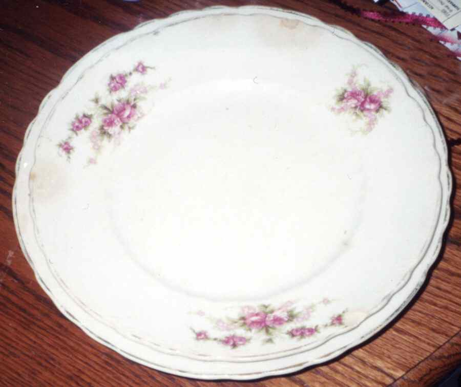 Florence Dinner Plate by Cartwright Bros-1