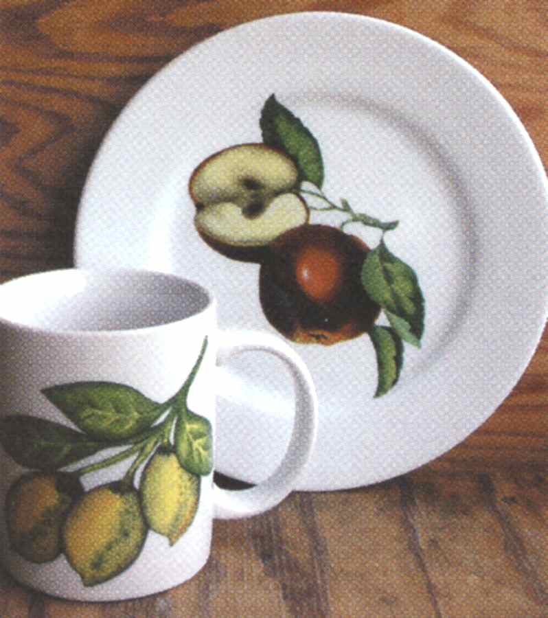Cathy Salad Plate by BIA Cordon Bleu-1