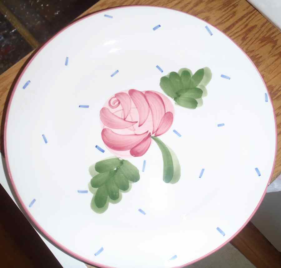 CKA11 Dinner Plate by Cooks Club-1