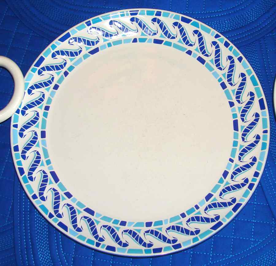T3X2 Dinner Plate by Tropix-1