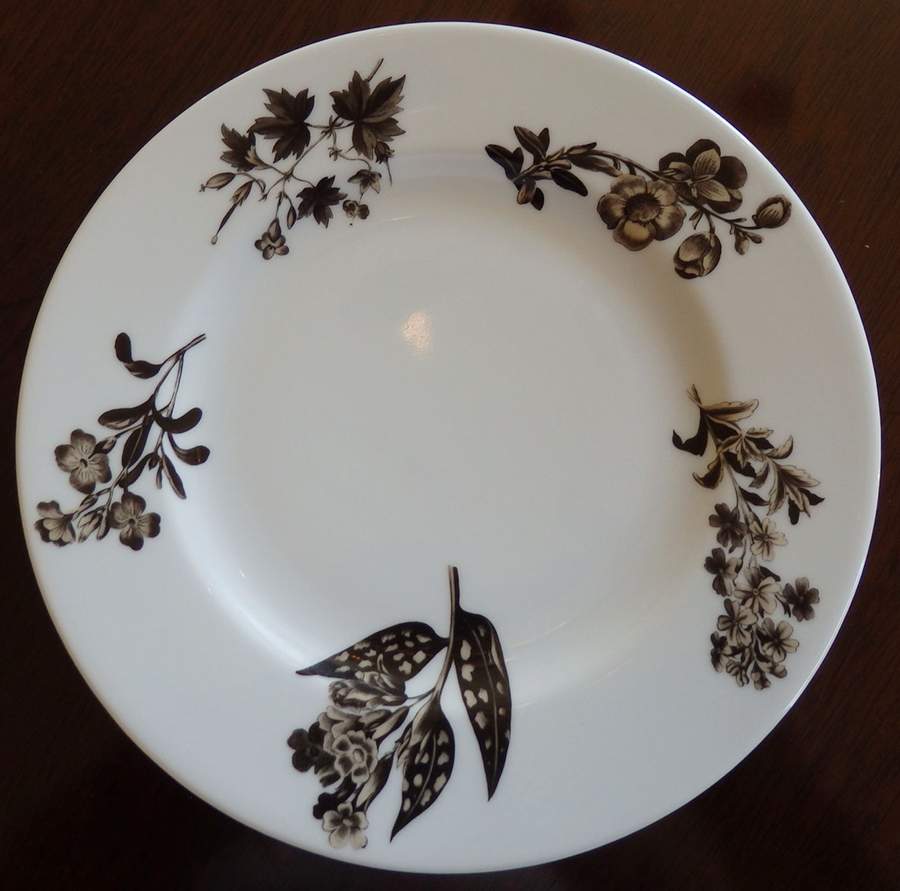 C4Y1 Dinner Plate by C E Corey-1