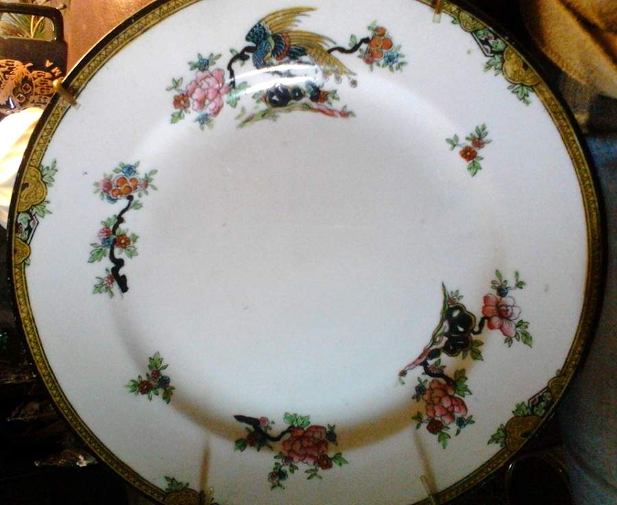 CLW38 Dinner Plate by Collingwoods-1