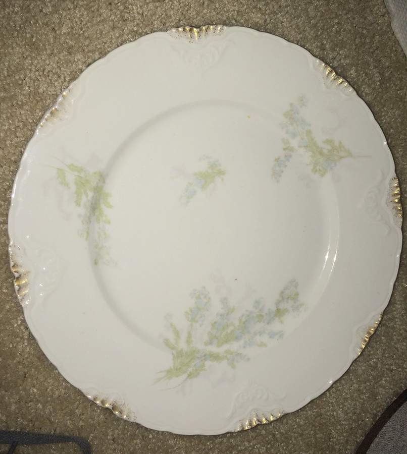 CEB169 Dinner Plate by Celebrate-1