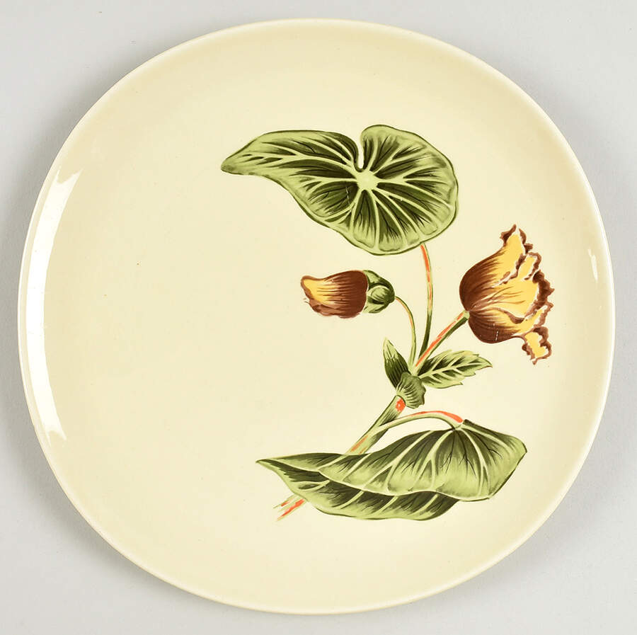 Begonia (Iva Lure) Dinner Plate by Crooksville-1