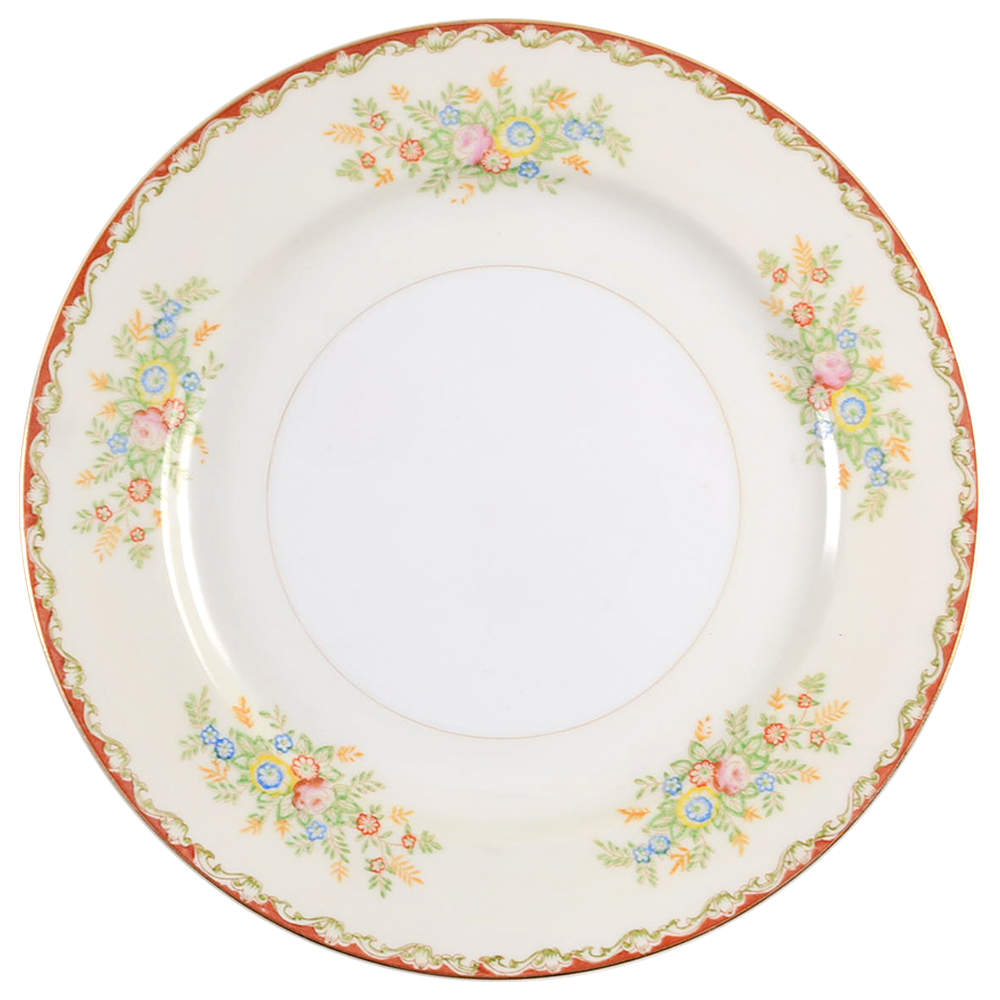 CWJ5 Dinner Plate by Cosmos Ware Japan-1