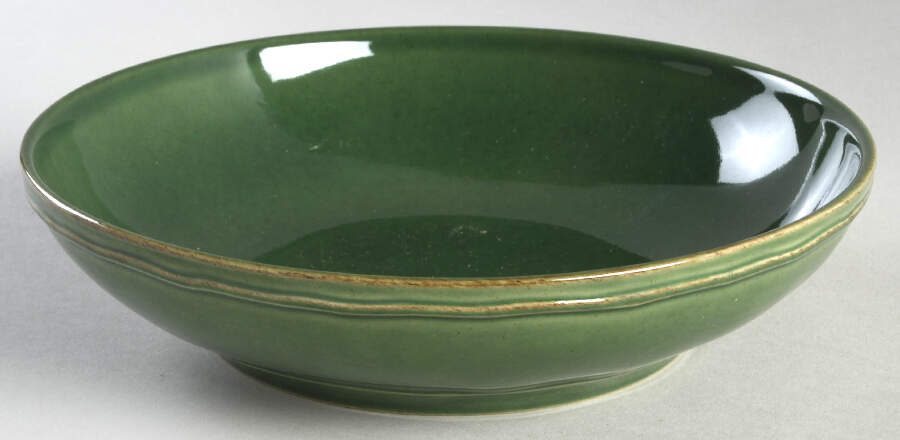 Fontana Forest Green 9" Individual Pasta Bowl by Casafina-1