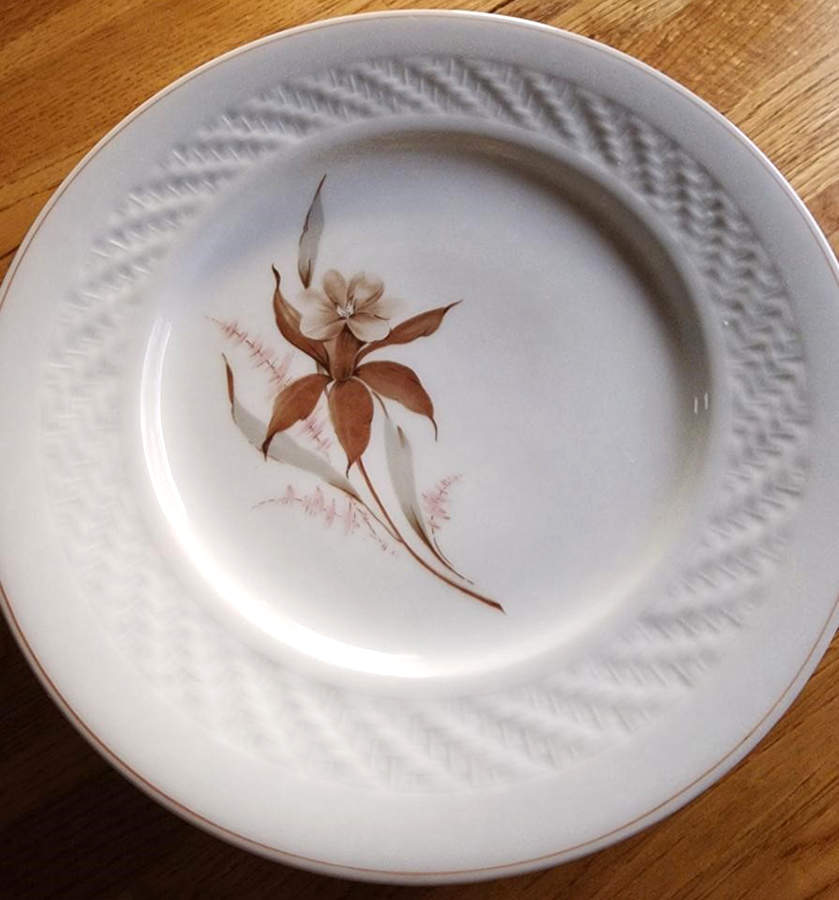 CI61 Luncheon Plate by Sociedade de Porcelanas Coimbra-1