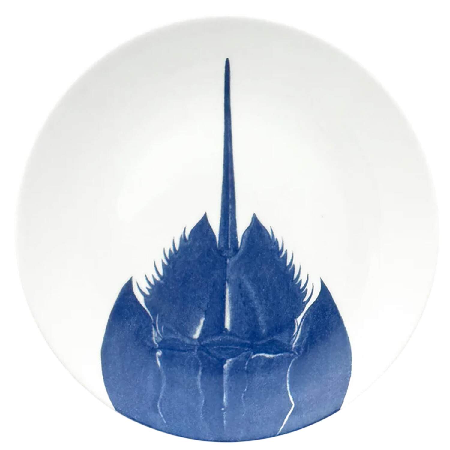 Horseshoe Crab Blue Salad Plate by Caskata-1