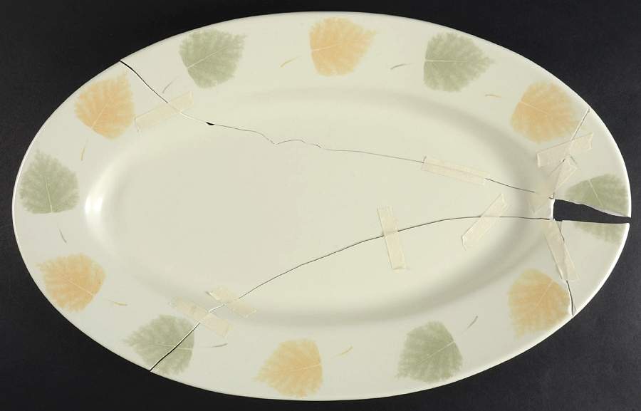 English Garden 20" Oval Serving Platter by Denby-Langley-1