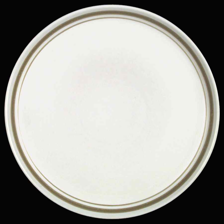 Gourmet Dinner Plate by Denby-Langley-1